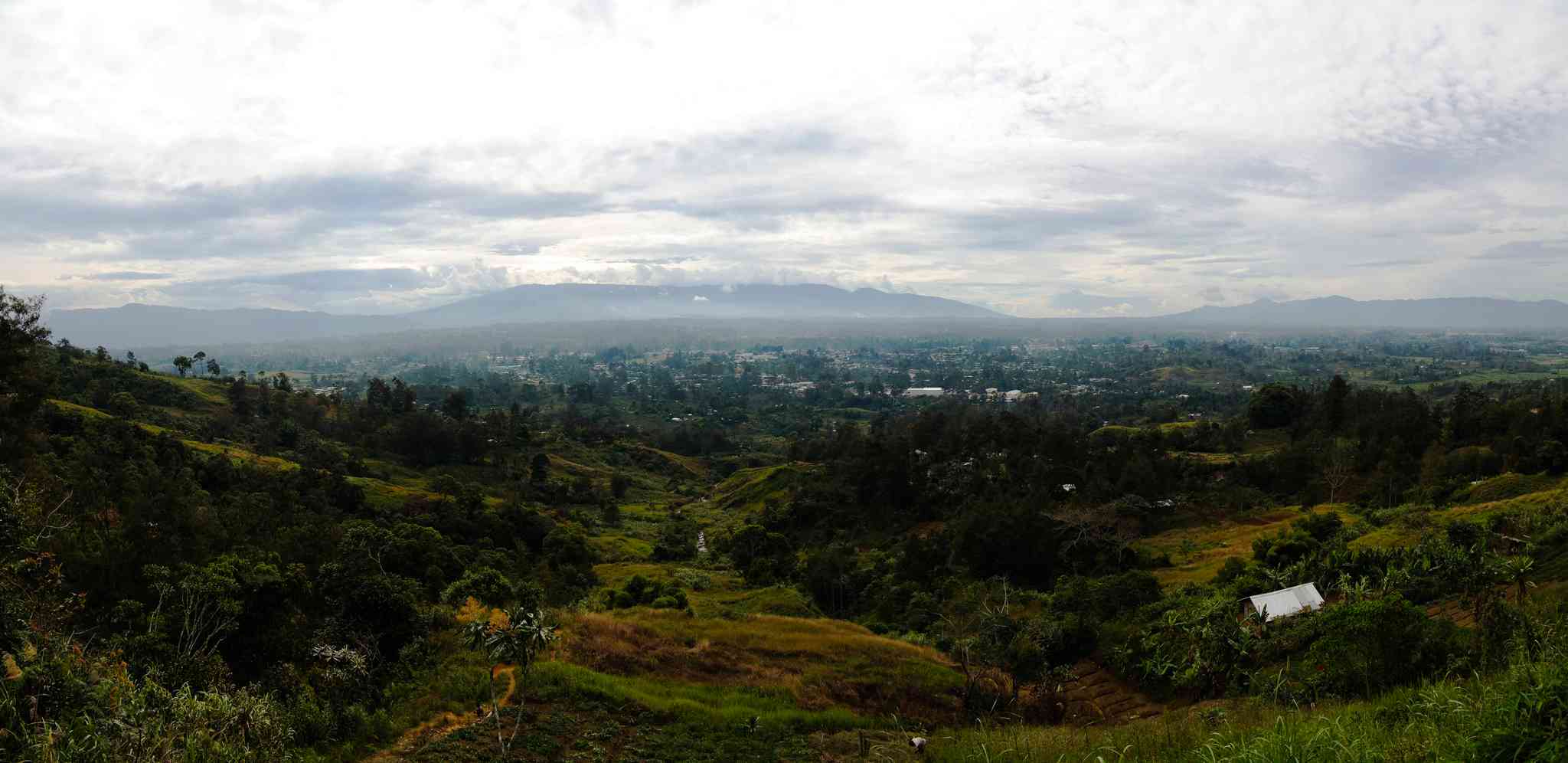 Mount Hagen 的风景 - 从 Lae 出发的私人 一日游 - 照片 2